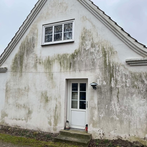 Hvid facade i Danmark før facaderens, dækket af alger og snavs – klar forbedring med damprens.